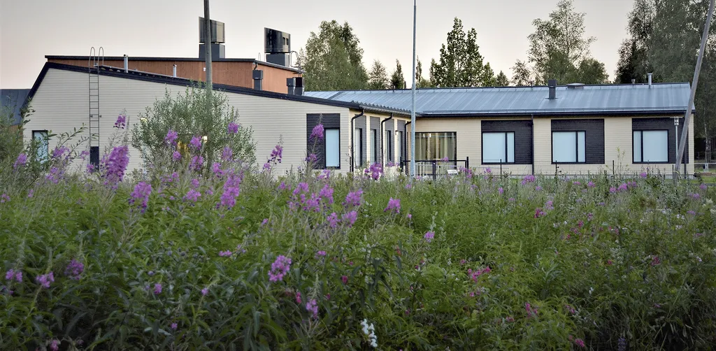 Keväällä 2017 toimintansa aloittaneessa Suutarin Pihlajassa on 30 tehostetun palveluasumisen paikkaa.