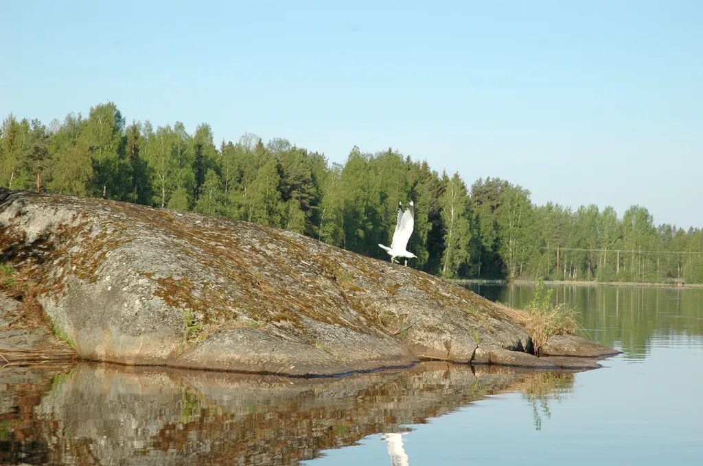 Kuiva ja vähäsateinen kesä ei enää näy vesitilastoissa, koska elokuu oli tavanomaista sateisempi.